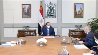 السيسي يوجه بتطوير منظومة خدمات النقل البحري