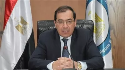 الحكومة تكشف حقيقة تراجع تصدير الغاز بسبب «كورونا»