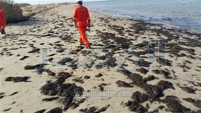 إجراءات عاجلة للسيطرة على التلوث الزيتي بـ