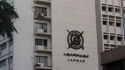 58 مليون جنيه إيرادات المسارح العامة في 2019