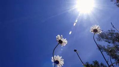 الأرصاد: طقس اليوم شديد الحرارة على معظم الأنحاء