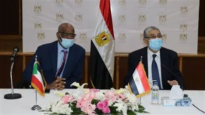 453 مليون جنيه لرفع كفاءة الربط الكهربائي بين مصر والسودان لـ300 ميجاوات
