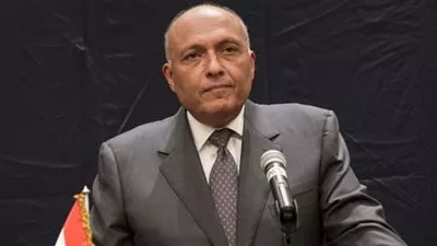 السيسي يطالب وزير الخارجية بتسهيل عملية تصويت المصريين بالخارج