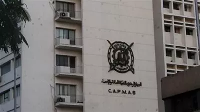 «الإحصاء»: 760.7 ألف فرد يعملون بالقطاع العام والأعمال العام في 2020