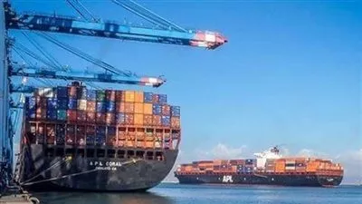 تداول 23 سفينة حاويات وبضائع عامة بموانئ بورسعيد