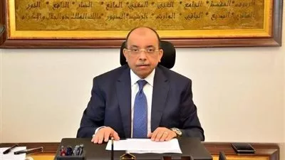 «التنمية المحلية»: ضخ 25 مليار جنيه في مبادرة «مشروعك» خلال 5 سنوات