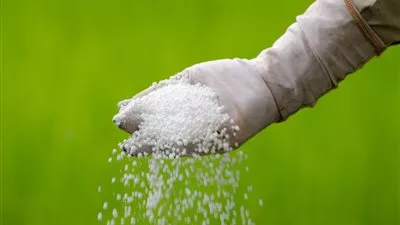 وزير البترول يتفقد مجمع 