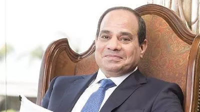 السيسي يعين أبو بكر خليل مندوبًا مساعدًا بمجلس الدولة