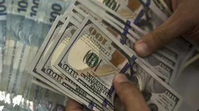 في ندوة غرفة التجارة الفرنسية.. خلافات القطاع الخاص ومصلحة الضرائب بسبب أزمة الدولار