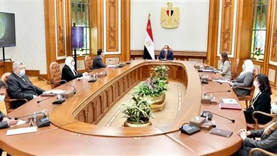 السيسي يستعرض المشروع القومي لتنمية الأسرة المصرية