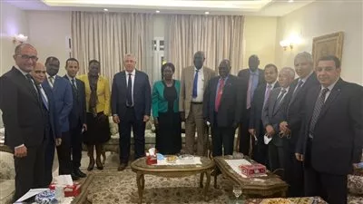 وزير الزراعة يبحث آفاق التعاون الزراعي بين مصر وجنوب السودان