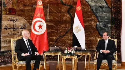 السيسي يبحث مع نظيره التونسي سبل تعزيز التعاون الثنائي