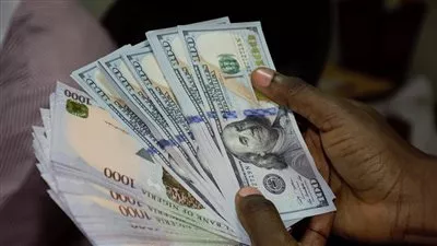 سعر الدولار اليوم الاثنين 14 يناير 2019