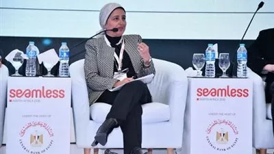 «المركزى»: 33 مليار دولار إجمالى تدفقات أسواق الأسهم وأدوات الدين منذ «التعويم»