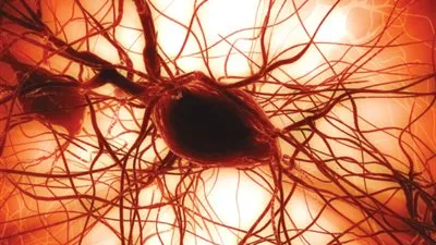 العلاج بالخلايا الجذعية يسمح بإصلاح عمل الأنسجة أو العضو التالف