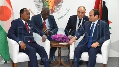 السيسى يلتقي برئيس جمهورية النيجر في نيودلهي