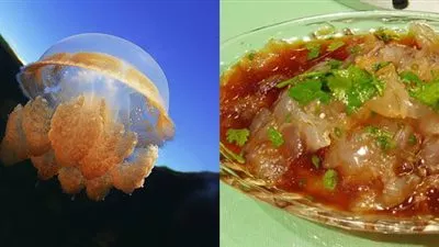 فيديو.. امرأة مصرية تشرح طريقة طهي قناديل البحر: رائع ومفيد