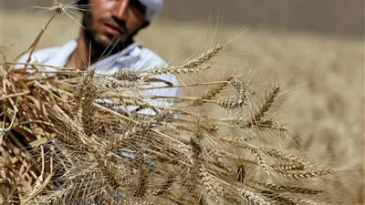 اتفاق مصري سوداني لزراعة 18 ألف فدان بمشروع شرق النيل