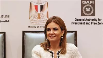 زيادة رأس مال 233 شركة باستثمارات 1,8 مليار جنيه خلال مايو الماضي
