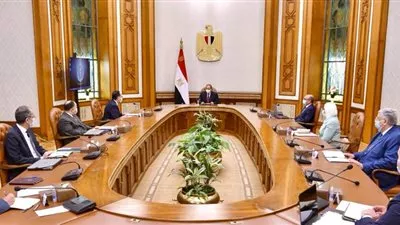 السيسي يستعرض تطورات العمل في منظومة التأمين الصحي الشامل