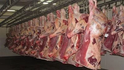 غرفة القاهرة التجارية: إستقرار أسعار اللحوم وتراجع الأسماك والدواجن خلال أكتوبر الماضي