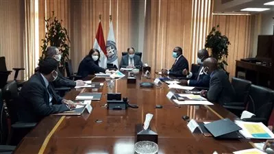 وزير المالية: دعم جهود توفير لقاحات «كورونا» فى أفريقيا بتسهيلات ميسرة