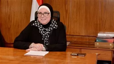 نيفين جامع: قانون المشروعات الصغيرة يدعم حاضنات الأعمال