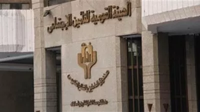 صندوق التأمين الإجتماعي: تفعيل إتفاقية التأمين بين مصر والمغرب