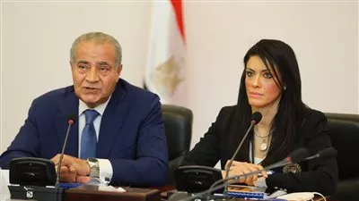 «التعاون الدولي» و«التموين» تعرضان جهود مصر لتعزيز الأمن الغذائي