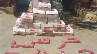 المتحدث العسكري: ضبط 22 عربة دفع رباعي و28 مهربا (صور)