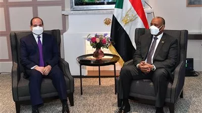 السيسي يعلن مشاركة مصر في المبادرة الدولية لتسوية مديونية السودان