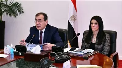 «التعاون الدولي» تعقد منصة التنسيق المشترك لقطاع البترول