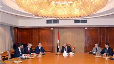 شركة فرنسية تعتزم إقامة مصنع محلي لتجميع السيارات بمصر