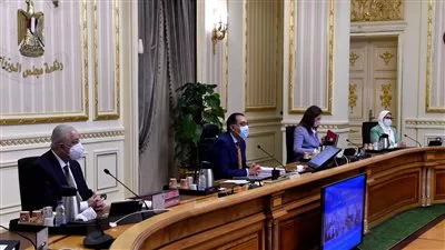 وزيرة الصحة: شحن المادة الخام لتصنيع 2 مليون جرعة من لقاح «سينوفاك»