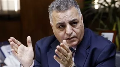 «الكهرباء» تشارك في اجتماع مبادرة الطاقات المتجددة «AREI» بغينيا