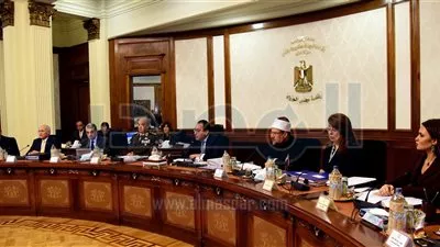 الحكومة توافق على استزراع «الغابات الشجرية» بحق انتفاع