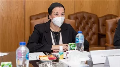 العناني وفؤاد يبحثان سبل دعم السياحة البيئية