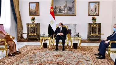 السيسي يستقبل تركي آل الشيخ