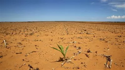 الاحتفال باليوم العالمي لمكافحة الجفاف والتصحر غدًا