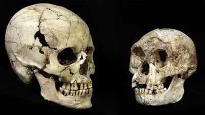 اكتشاف فصيلة من الإنسان القزم في جزيرة إندونيسية