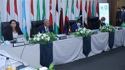 كامل الوزير يترأس اجتماع الدورة 66 للمكتب التنفيذي لـ «وزراء النقل العرب»