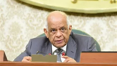 «النواب» يوافق نهائيًا على تعديل قانون إنشاء هيئة تنمية الصعيد