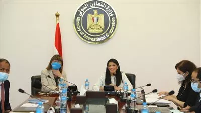 «التعاون الدولي» و«الأمم المتحدة» تستعرضان إنجازات المشروعات التنموية في 2020