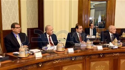 الحكومة تقرر إنشاء صندوق تمويل برنامج شركات الدولة