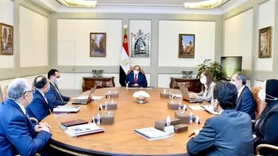 السيسي يوجه بتعزير التحول للاقتصاد الأخضر بالاعتماد على الطاقة النظيفة