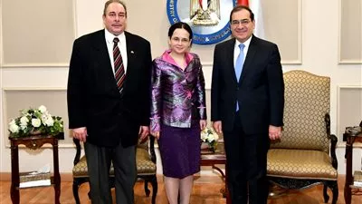 الملا يبحث مجالات التعاون البترولي مع رومانيا