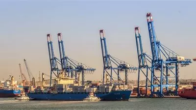 ميناء دمياط يستقبل 6 سفن حاويات وبضائع خلال 24 ساعة