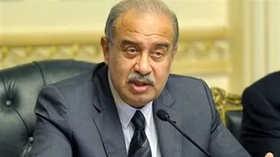 رئيس الوزراء: الحكومة تدعم جميع النقابات المهنية