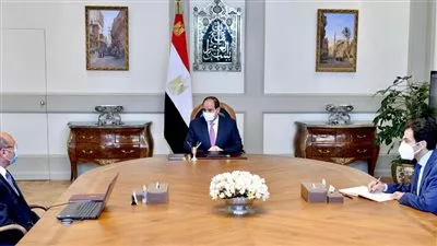 لضبط قضية مهمة.. السيسي يشكر قضاة وموظفي تنفيذ الأحكام بجنوب القاهرة