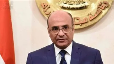 وزير العدل يصدر القواعد المنظمة لعمل خبراء المحاكم الاقتصادية
